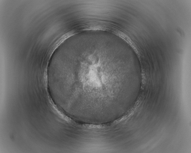 X0000112880890200909111441