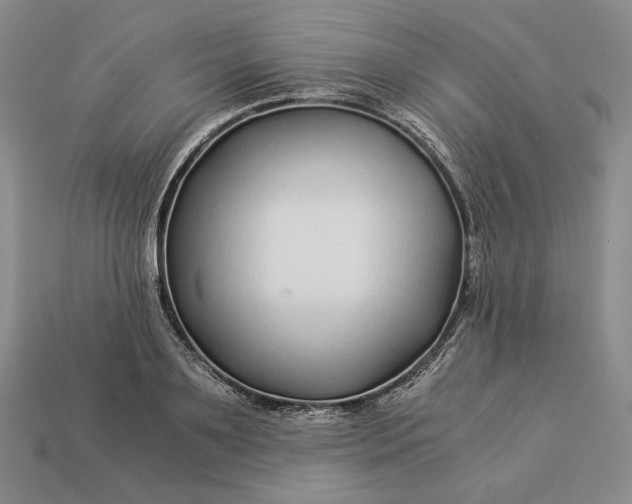 X0000112880891200909111441