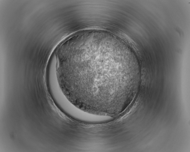 X0000112880892200909111440