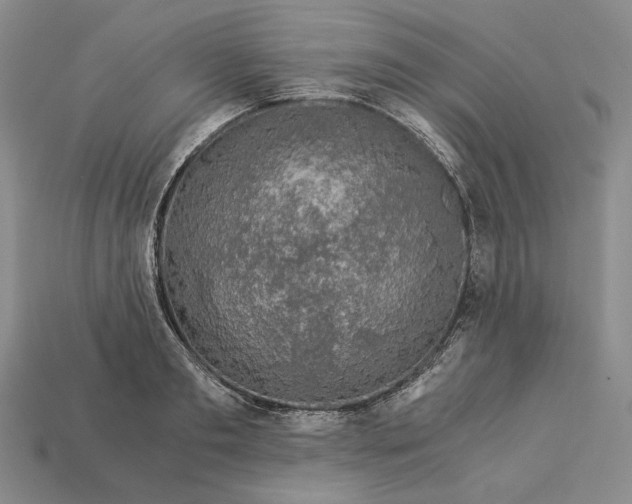 X0000112880893200909111440