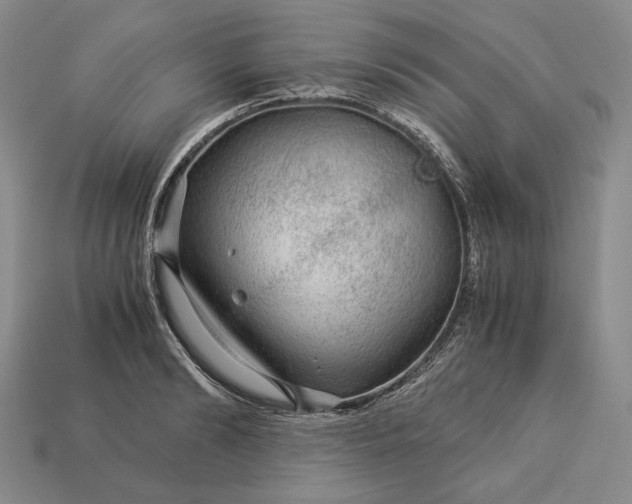 X0000112880894200909111440