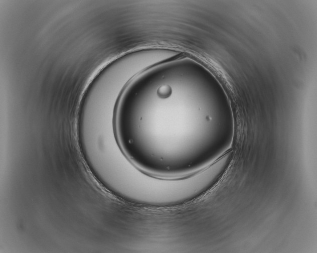 X0000112880896200909111440