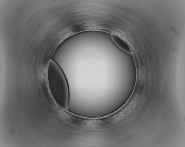 X0000112880897200909111440