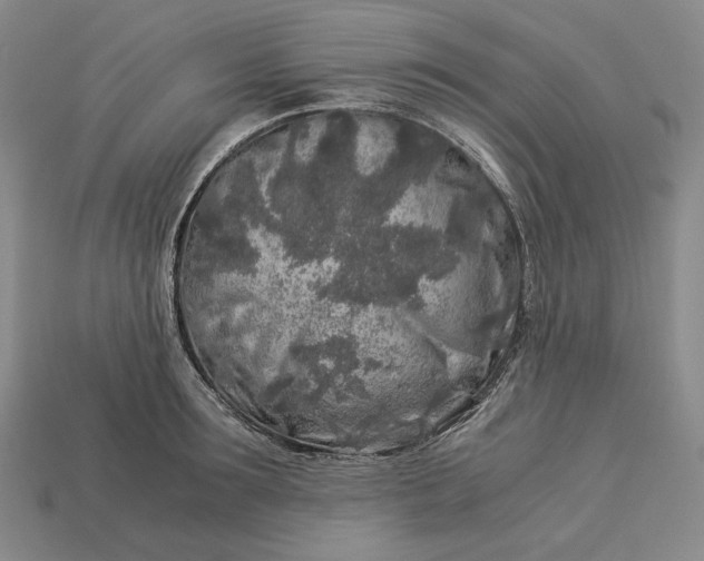 X0000112880899200909111440