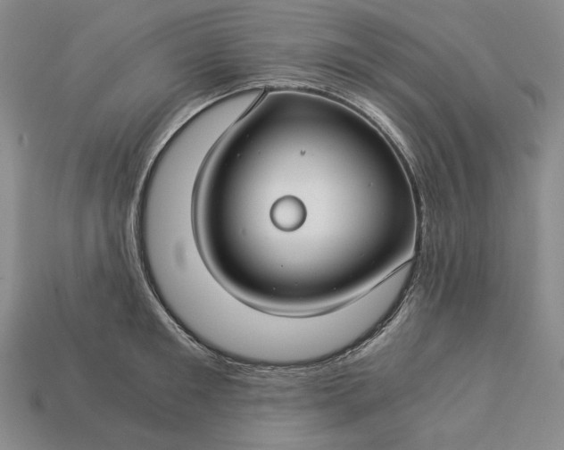 X0000112880901200909111440