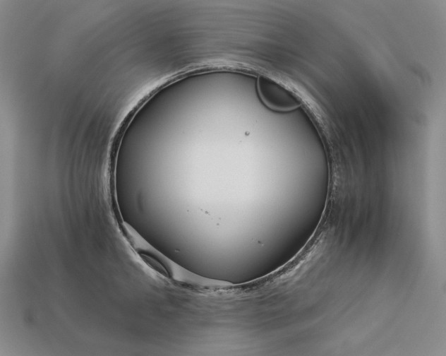 X0000112880902200909111440