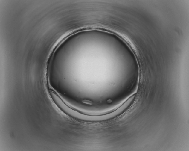 X0000112880903200909111440