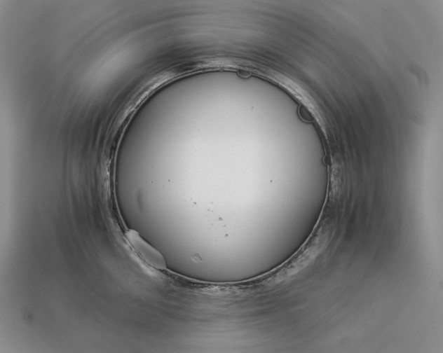 X0000112880906200909111440