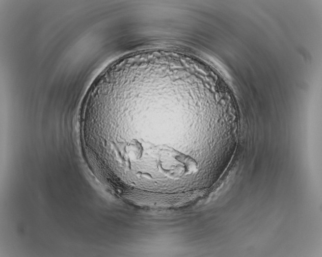 X0000112880907200909111440