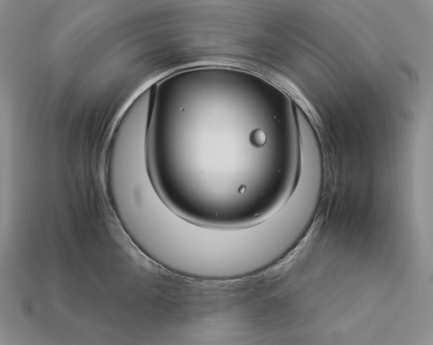 X0000112880908200909111440