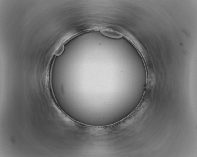 X0000112880909200909111440