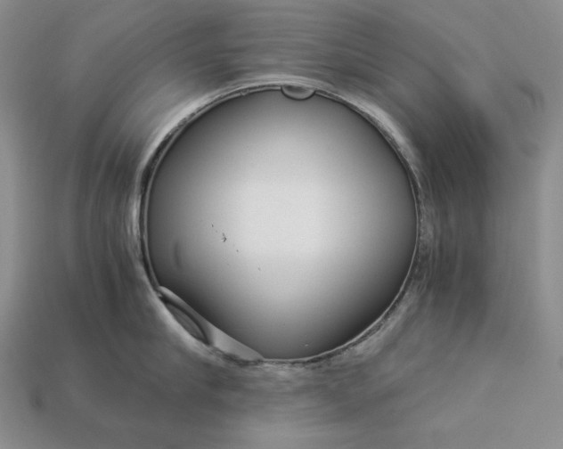 X0000112880910200909111440