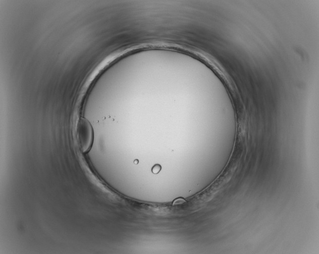 X0000112880911200909111440