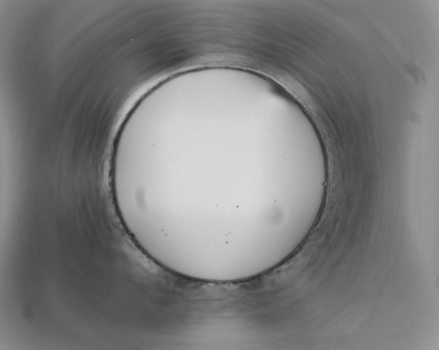 X0000112880912200909111440