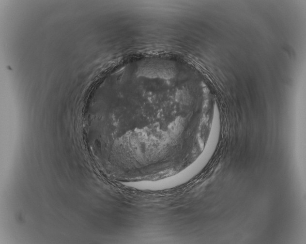 X0000112880913200909111439