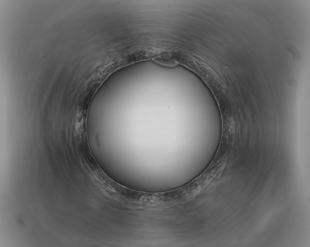 X0000112880914200909111439