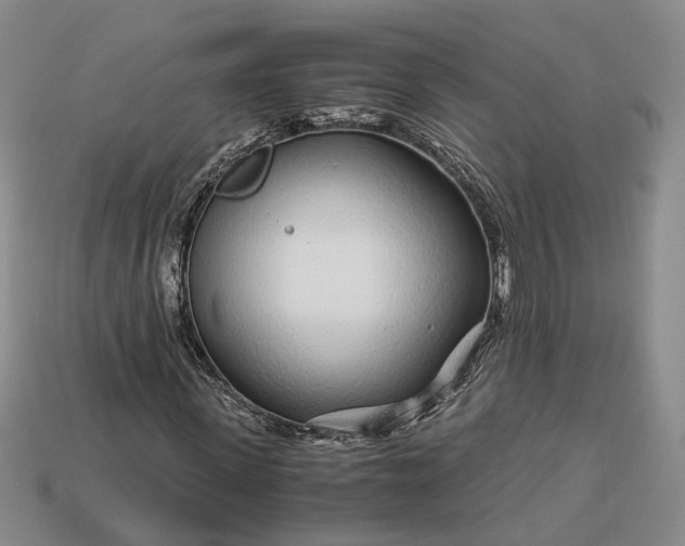 X0000112880915200909111439