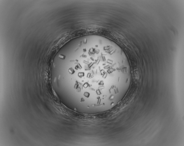 X0000112880916200909111439