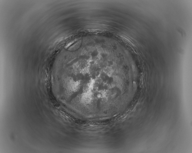 X0000112880917200909111439