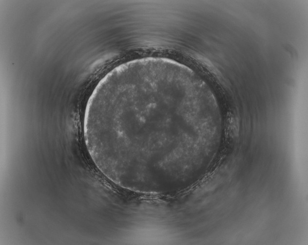 X0000112880918200909111439