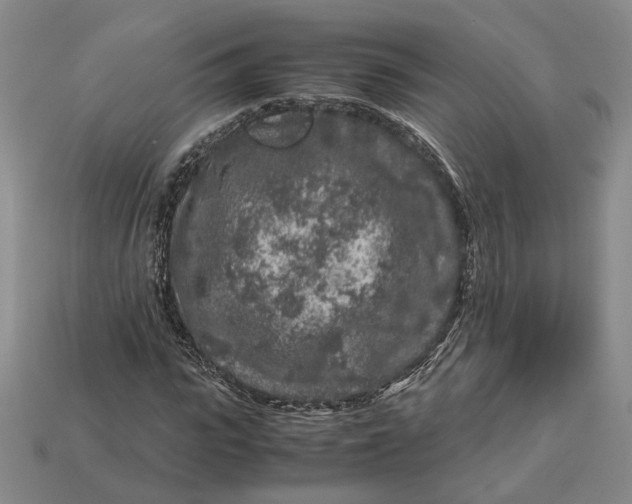 X0000112880919200909111439