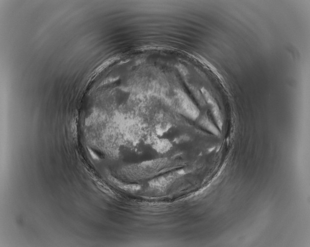 X0000112880921200909111439