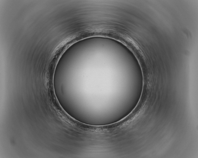 X0000112880922200909111439