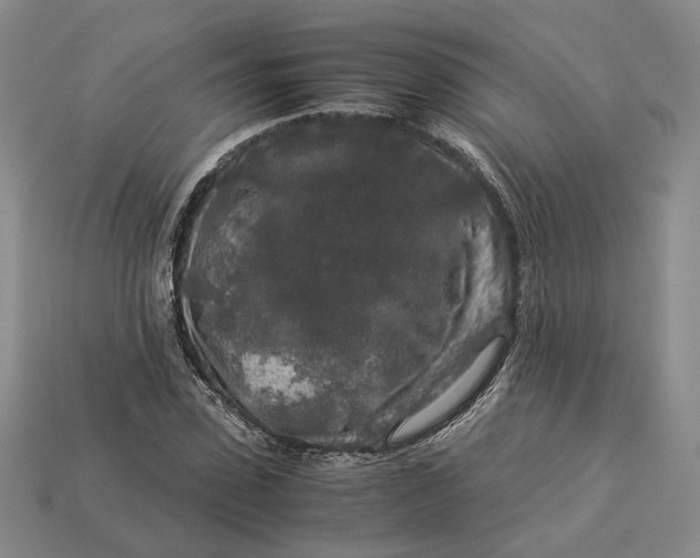 X0000112880923200909111439