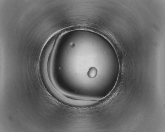 X0000112880924200909111440