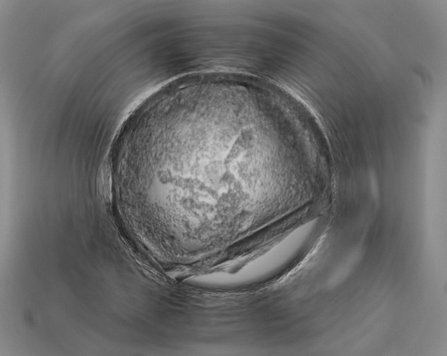 X0000112880925200909111440