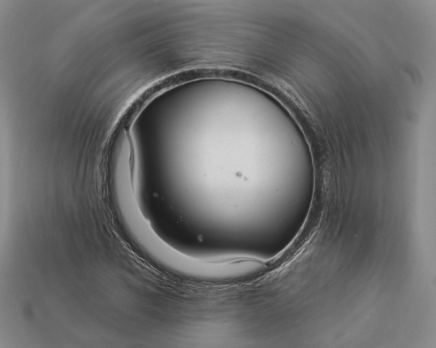 X0000112880926200909111440