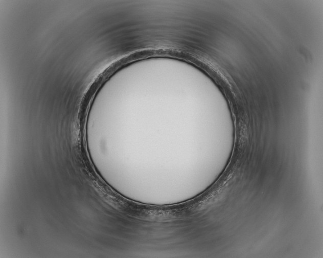 X0000112880927200909111440