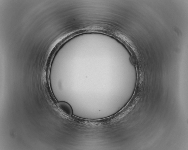 X0000112880928200909111440