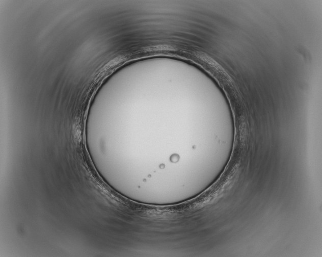 X0000112880929200909111440