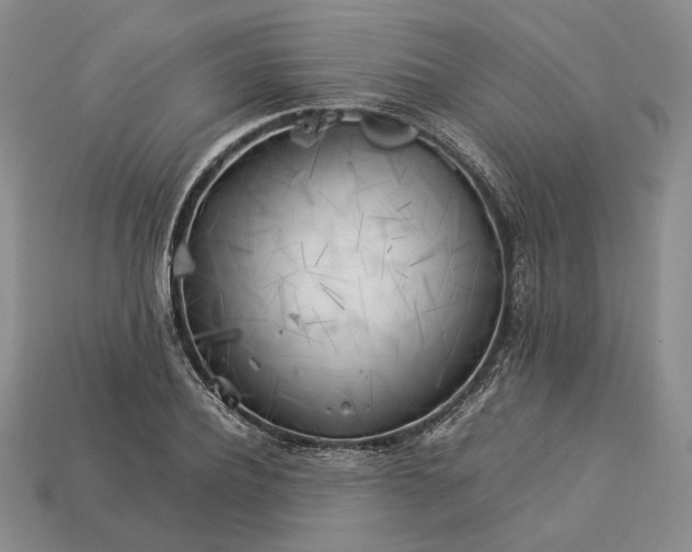 X0000112880932200909111440