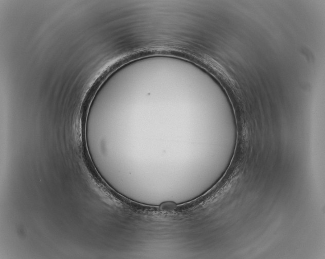 X0000112880934200909111440