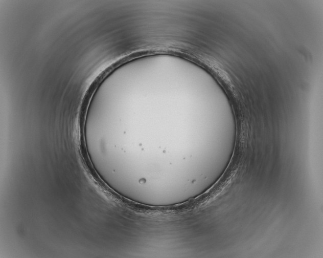 X0000112880936200909111440