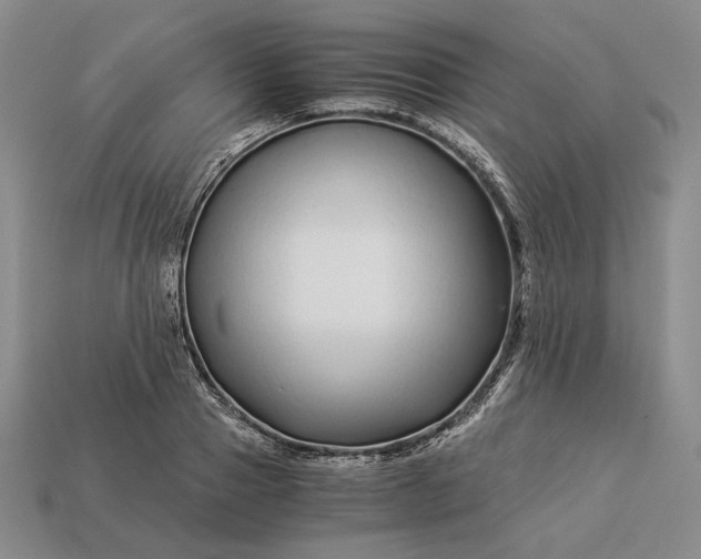 X0000112880937200909111440