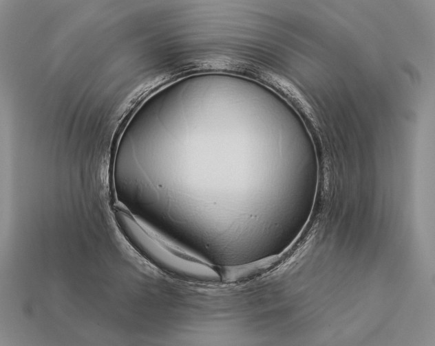 X0000112880938200909111440