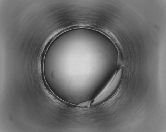 X0000112880939200909111440