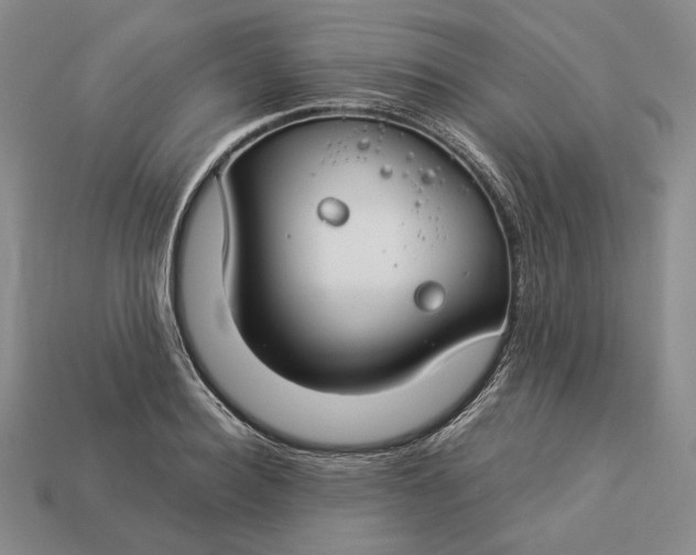 X0000112880940200909111440