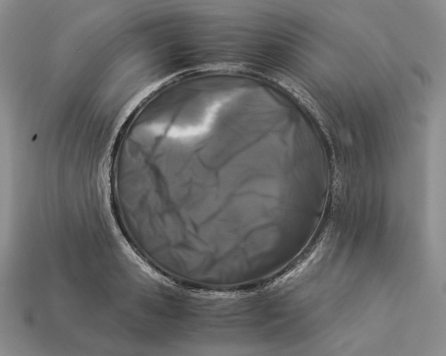 X0000112880941200909111440