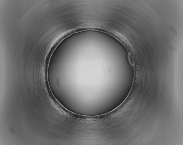 X0000112880942200909111440