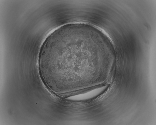 X0000112880943200909111440