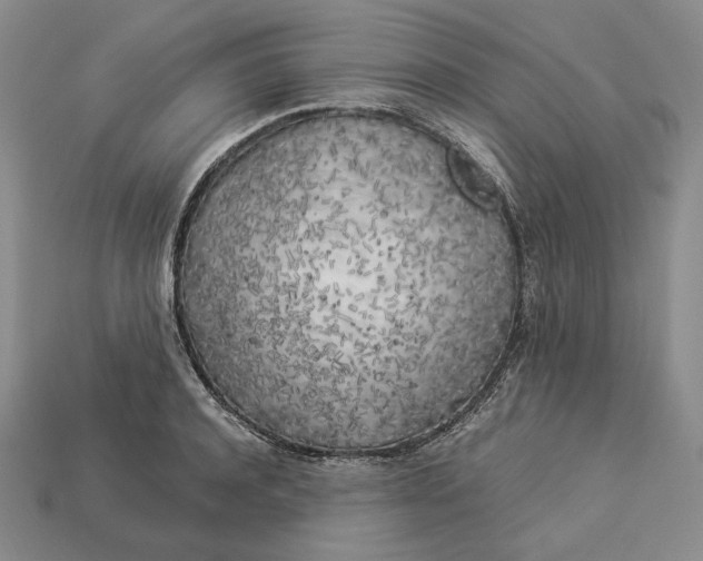 X0000112880944200909111440