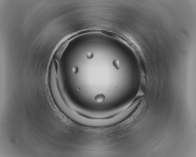 X0000112880948200909111440