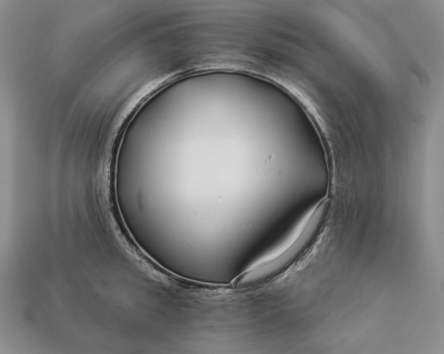 X0000112880949200909111440