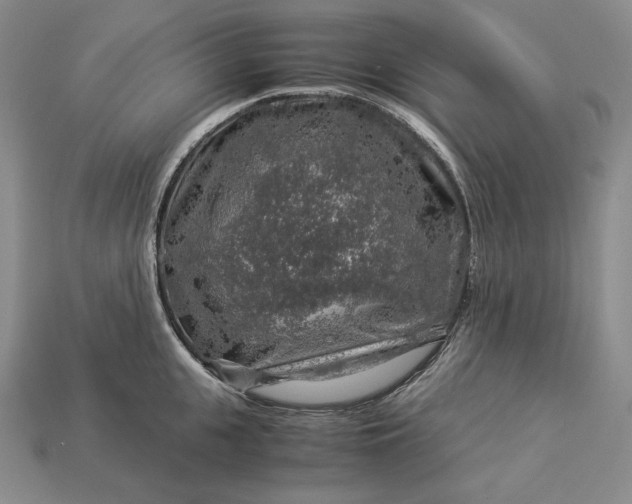 X0000112880951200909111440