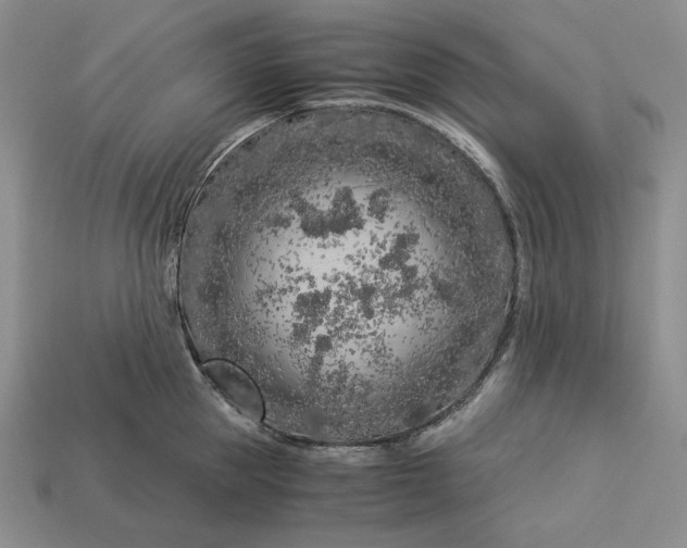 X0000112880953200909111440