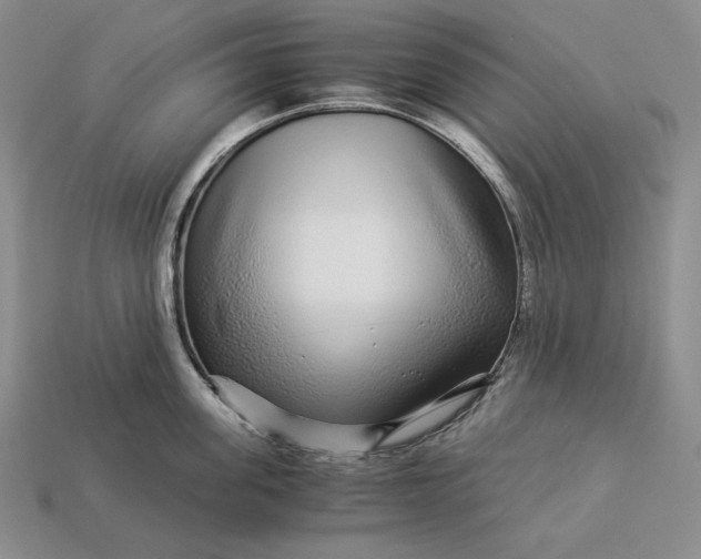 X0000112880955200909111440